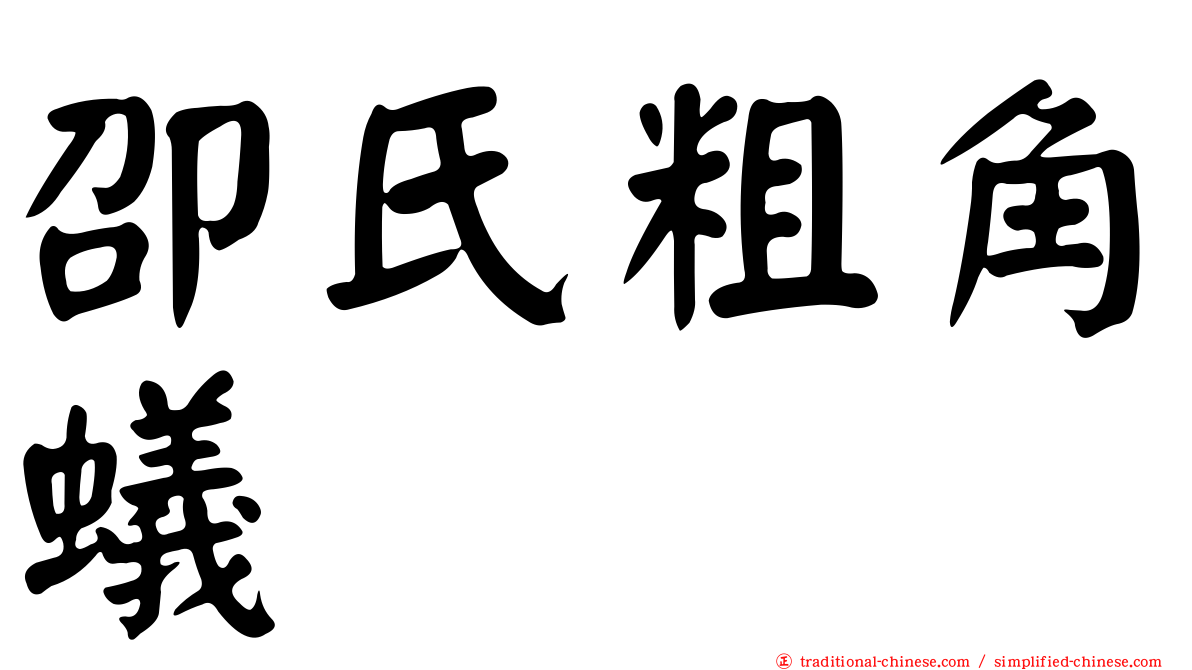 卲氏粗角蟻
