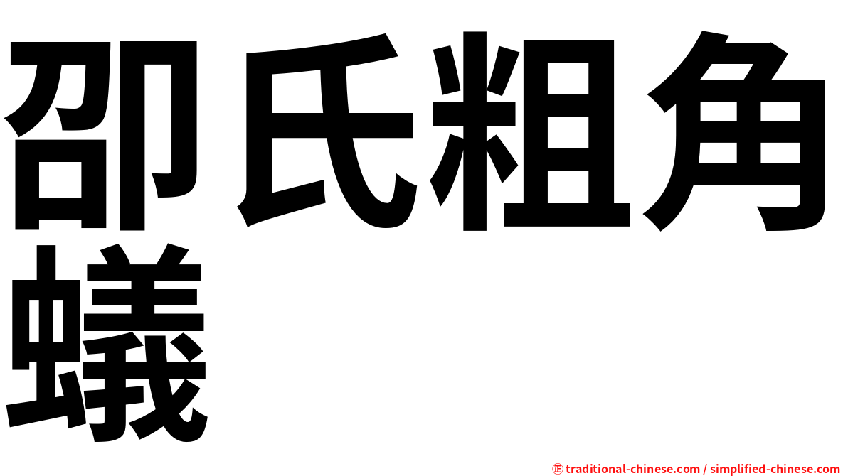 卲氏粗角蟻