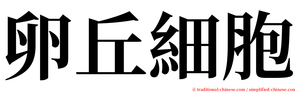 卵丘細胞 serif font