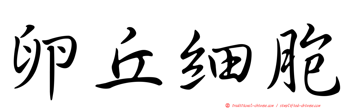 卵丘細胞