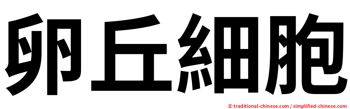卵丘細胞