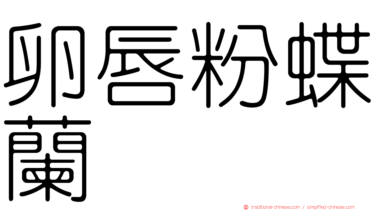 卵唇粉蝶蘭