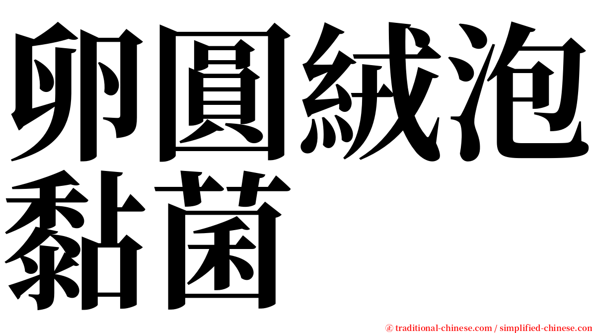 卵圓絨泡黏菌 serif font