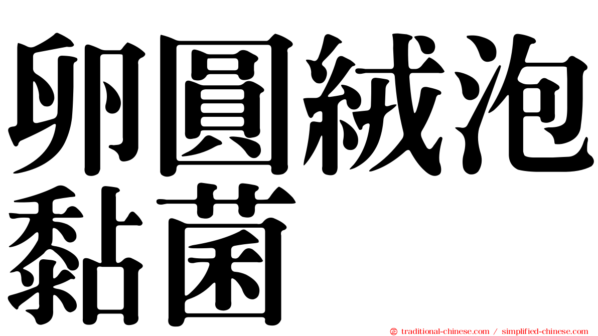 卵圓絨泡黏菌