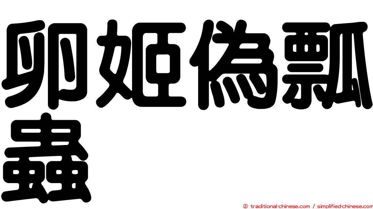 卵姬偽瓢蟲