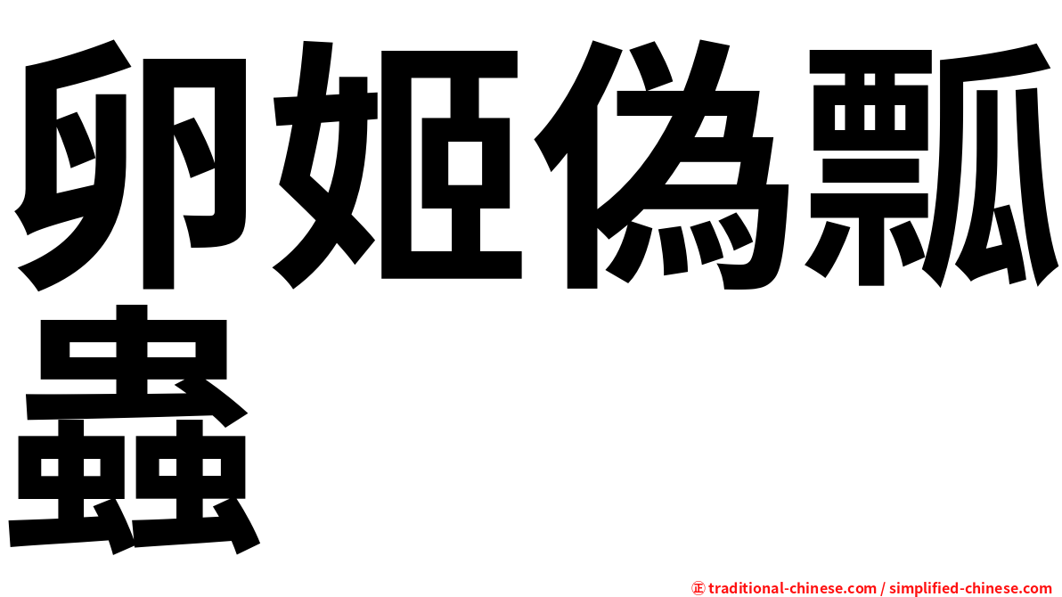 卵姬偽瓢蟲