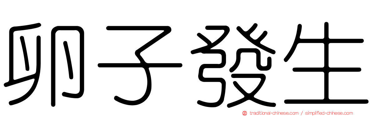 卵子發生