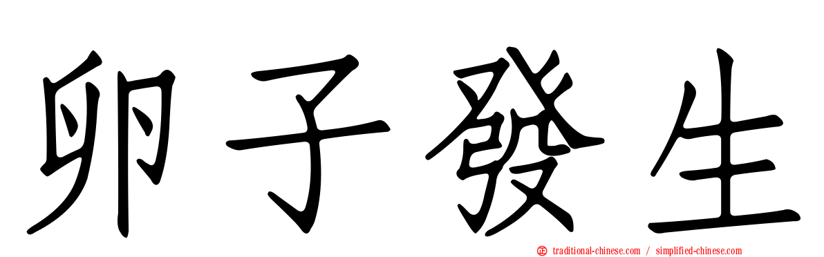 卵子發生