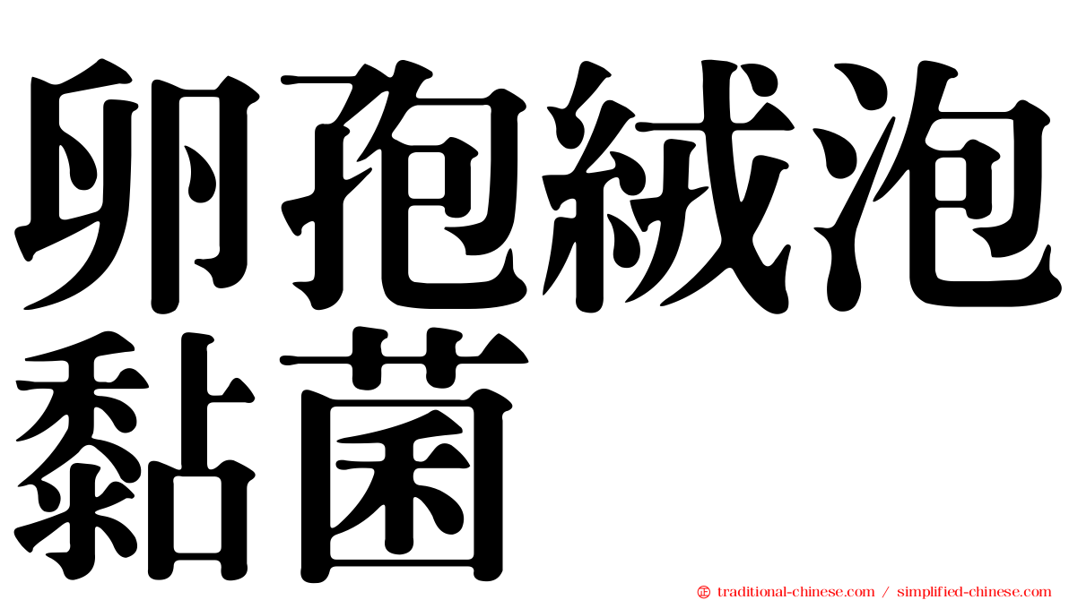 卵孢絨泡黏菌