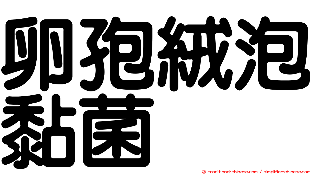 卵孢絨泡黏菌