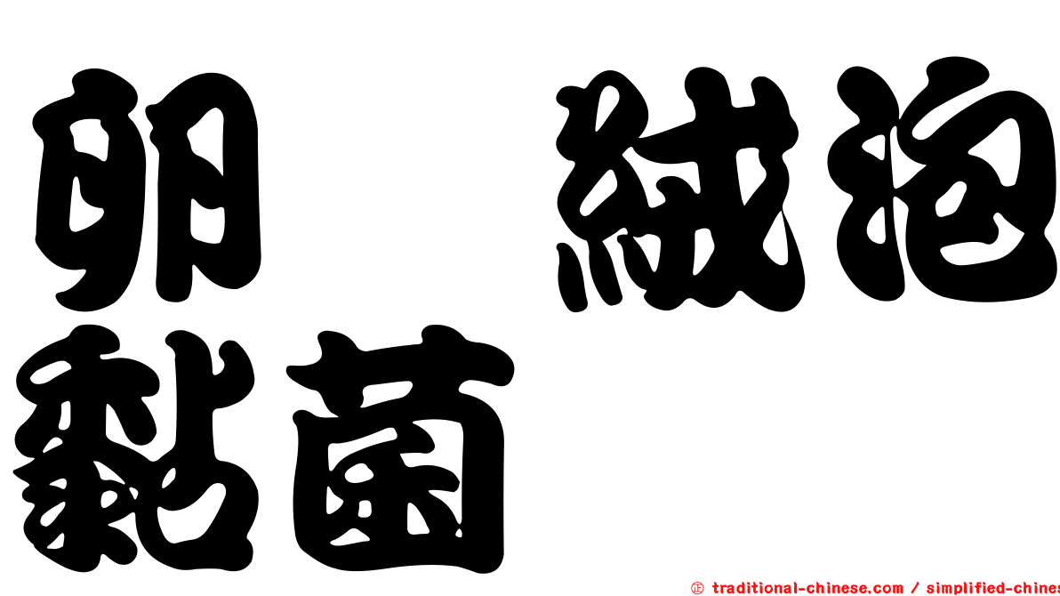 卵孢絨泡黏菌