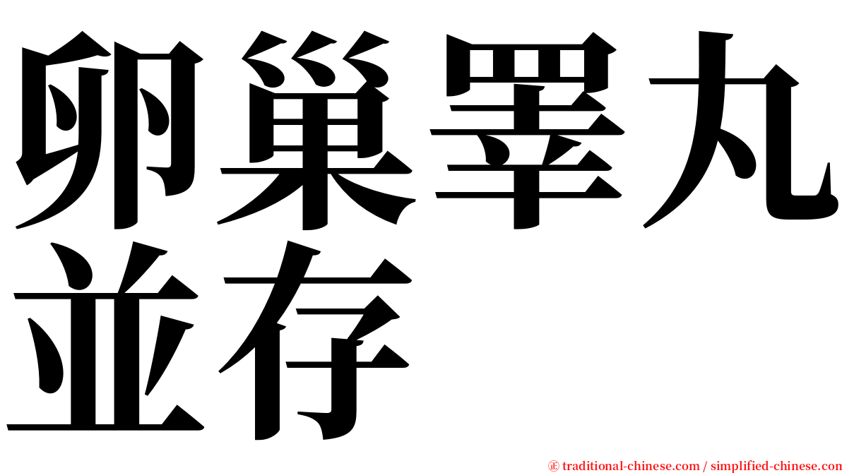 卵巢睪丸並存 serif font
