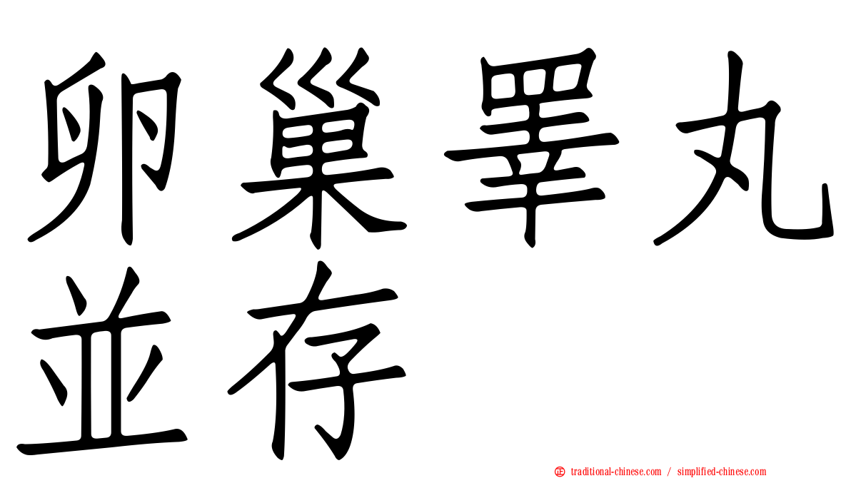 卵巢睪丸並存