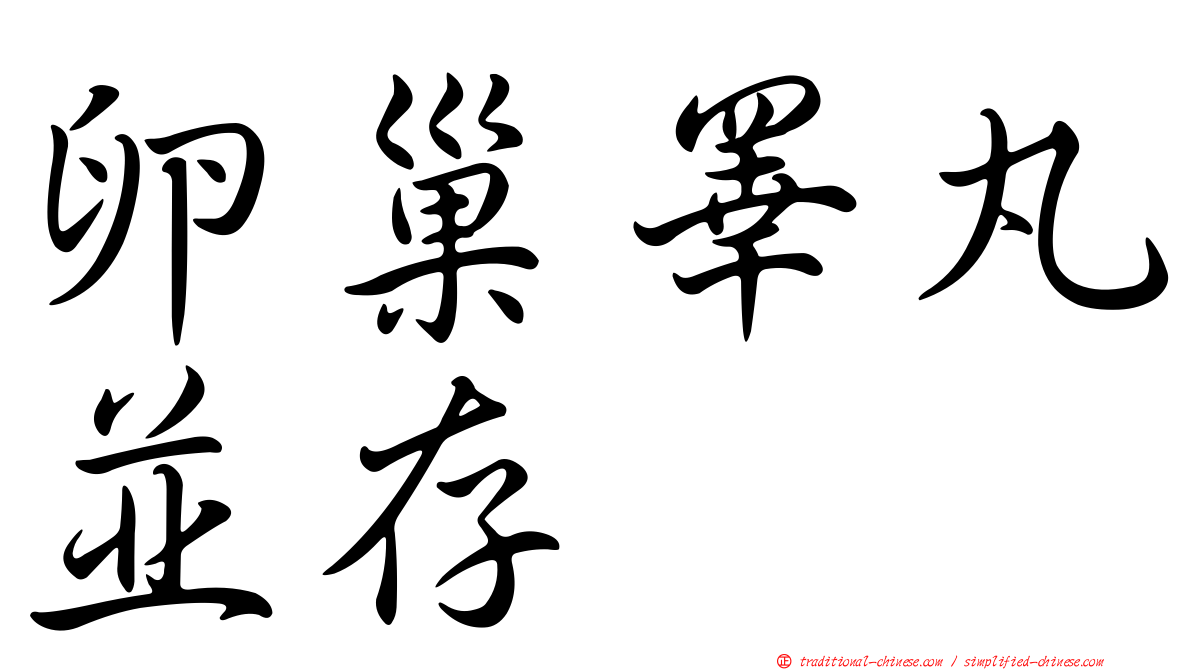卵巢睪丸並存