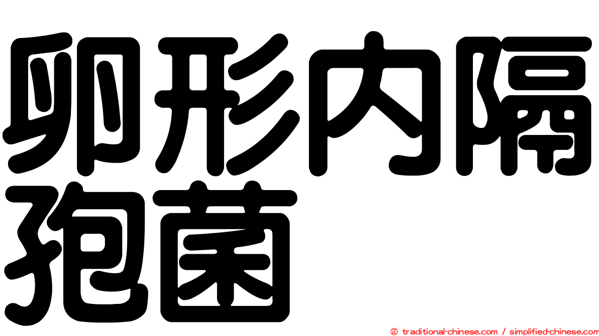 卵形內隔孢菌