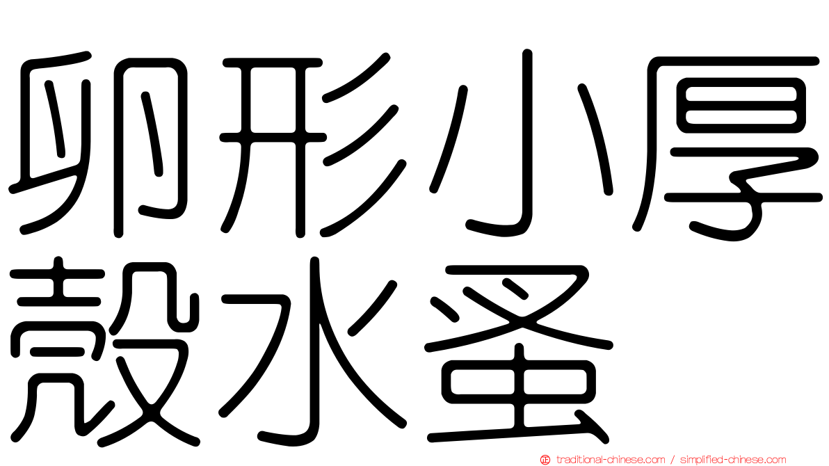 卵形小厚殼水蚤