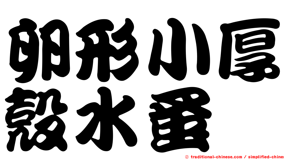 卵形小厚殼水蚤