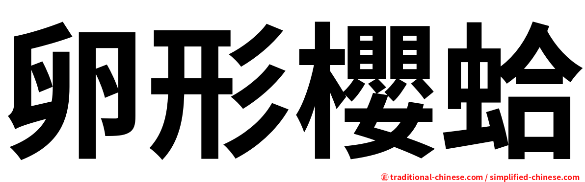 卵形櫻蛤