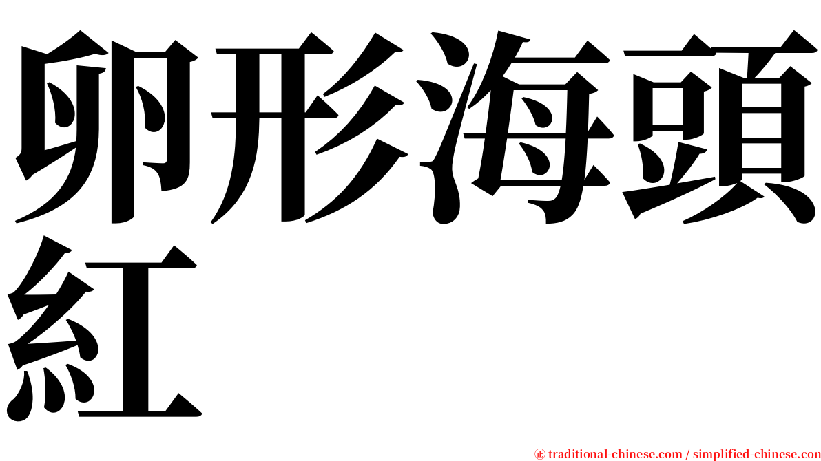 卵形海頭紅 serif font