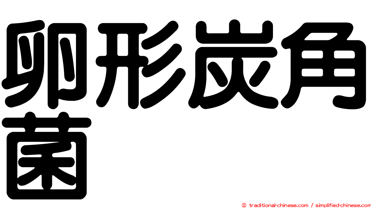 卵形炭角菌