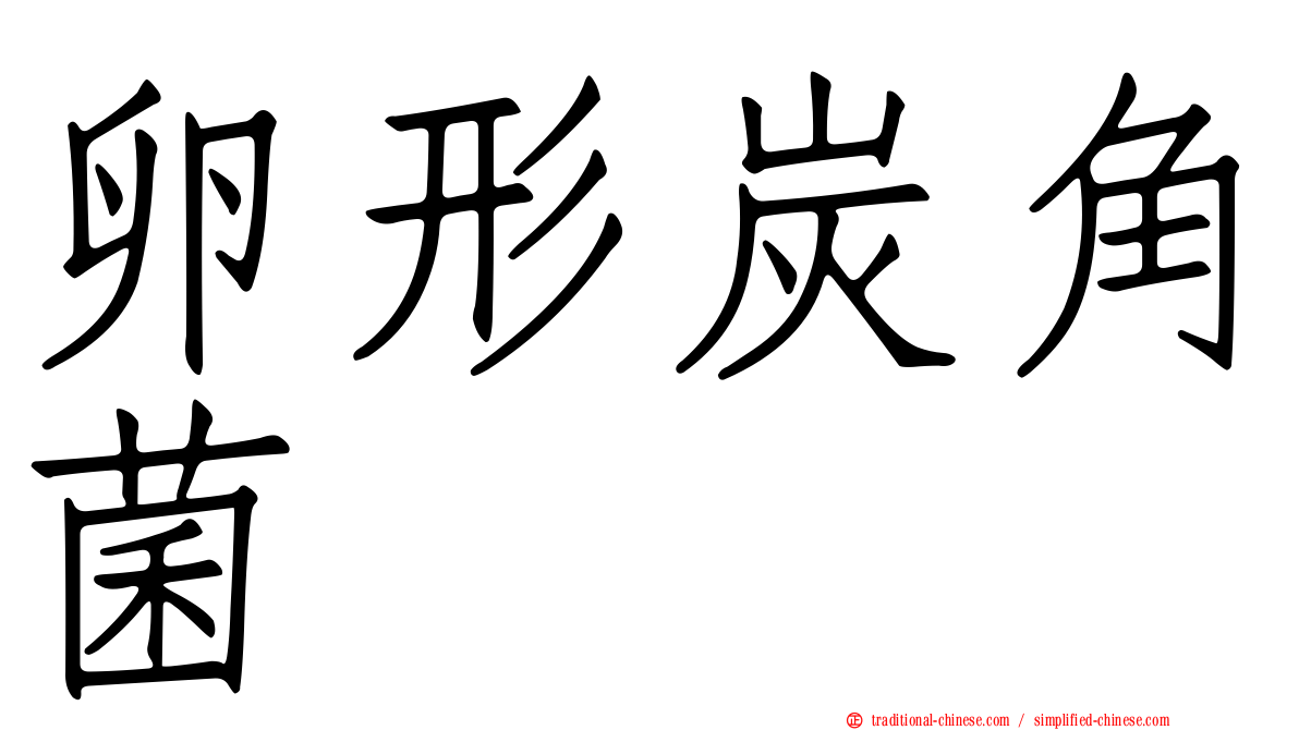 卵形炭角菌
