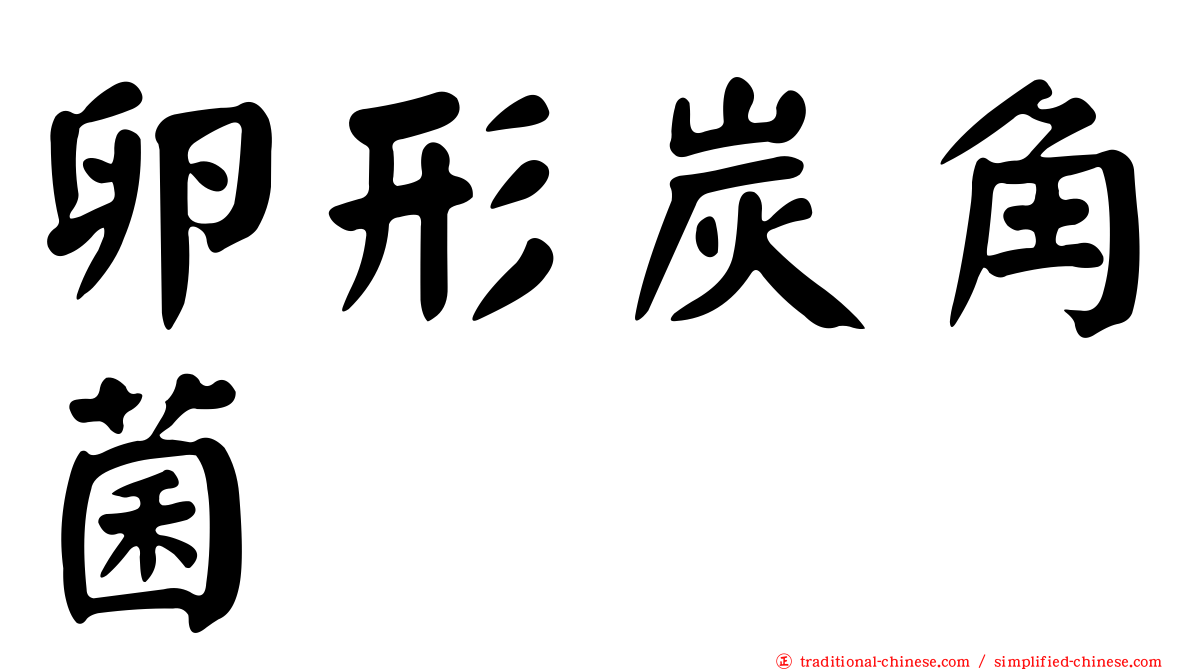 卵形炭角菌