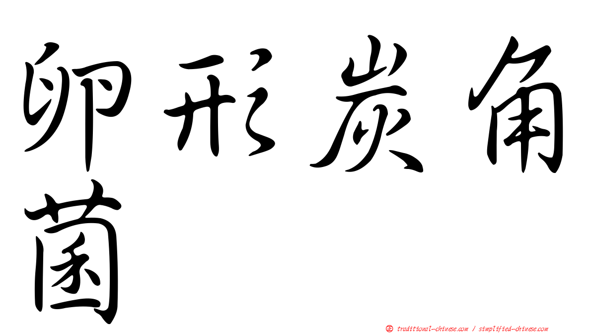 卵形炭角菌