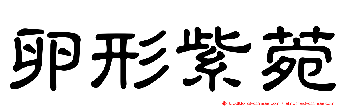 卵形紫菀