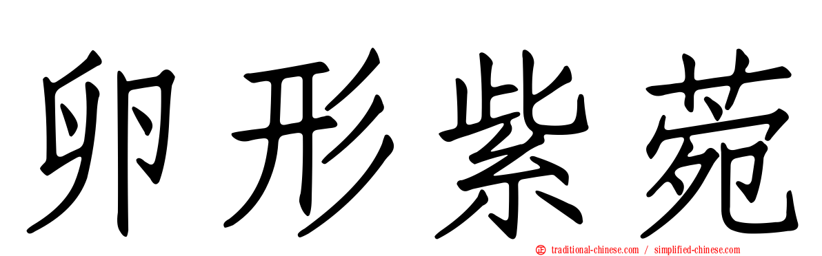 卵形紫菀