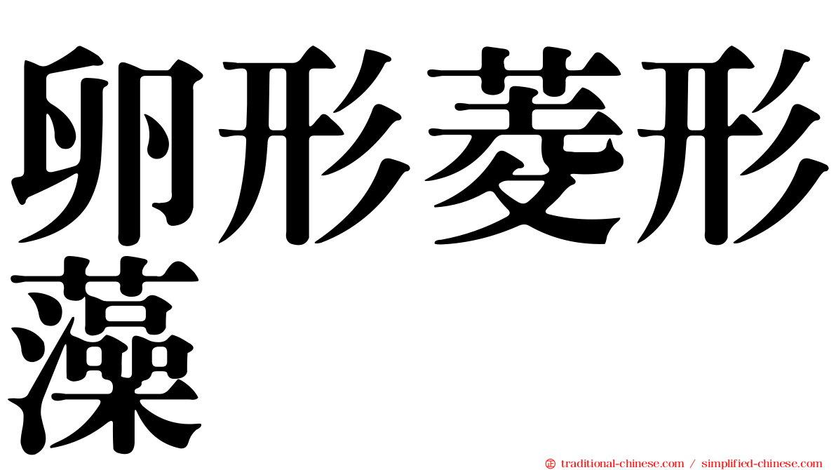 卵形菱形藻