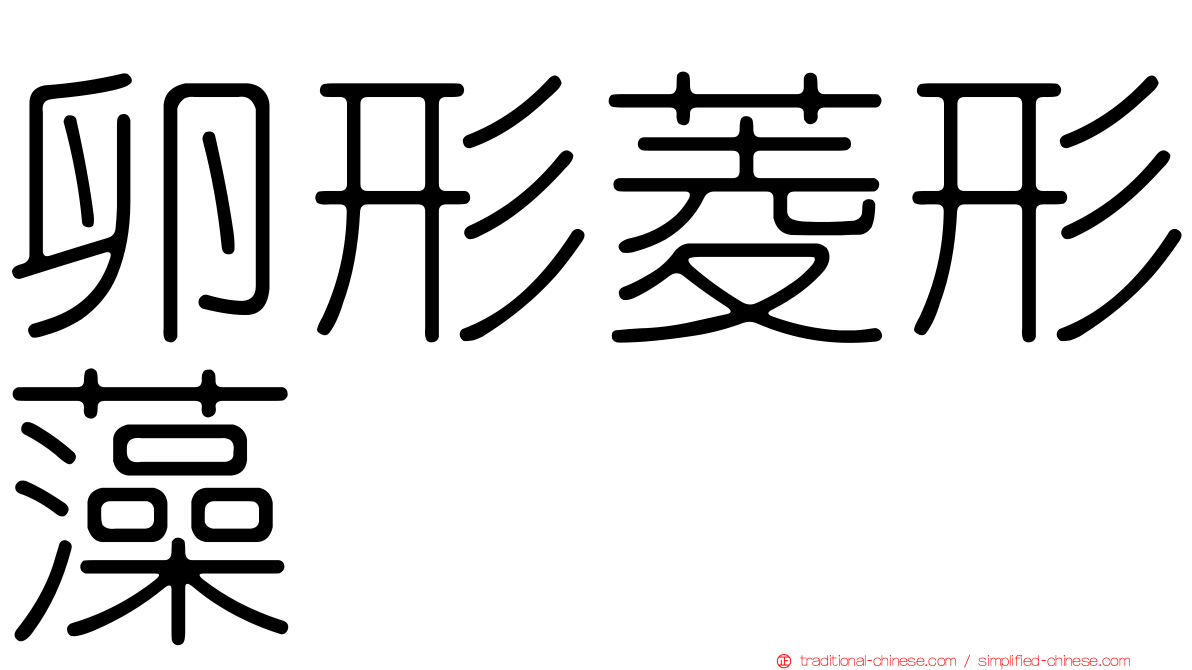 卵形菱形藻