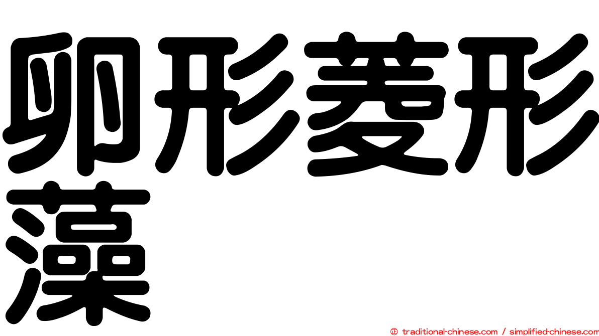 卵形菱形藻