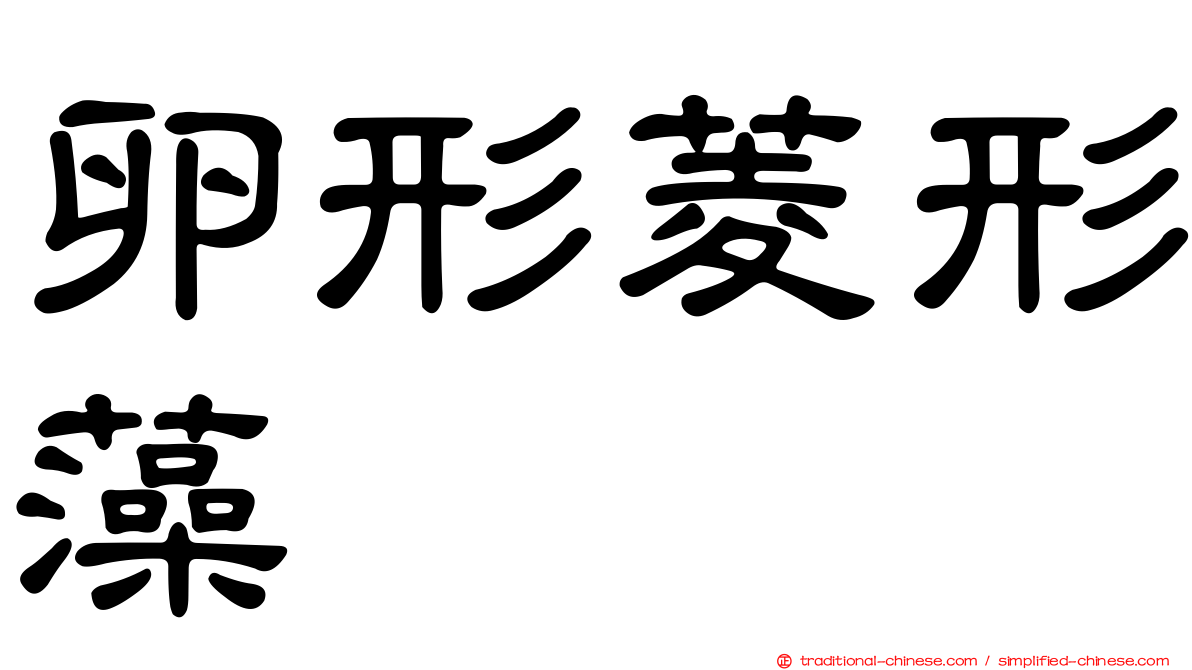 卵形菱形藻