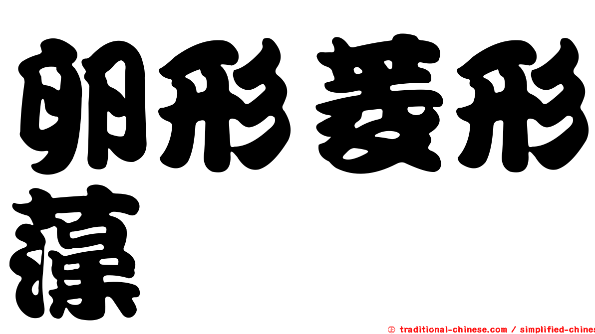 卵形菱形藻