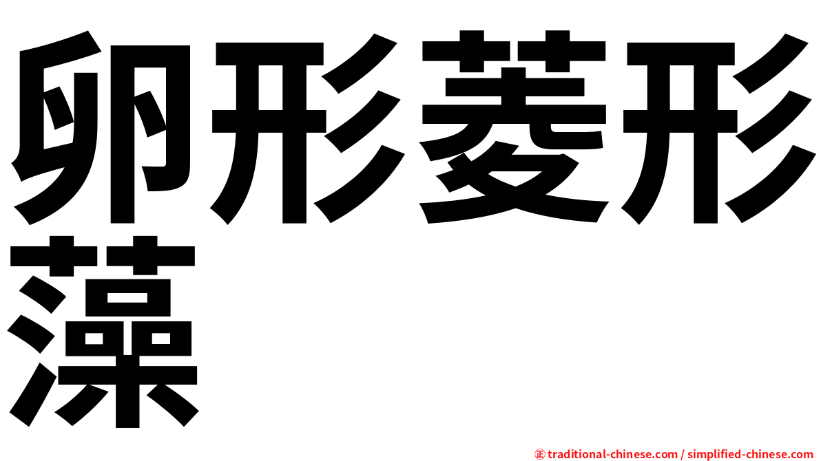 卵形菱形藻