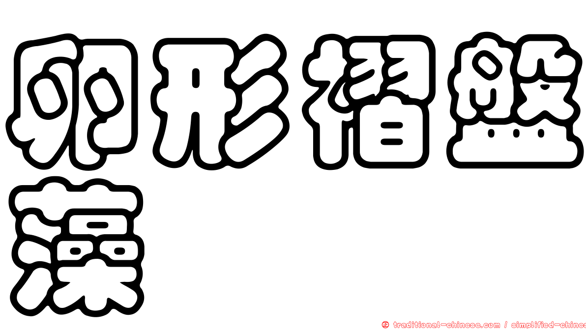 卵形褶盤藻