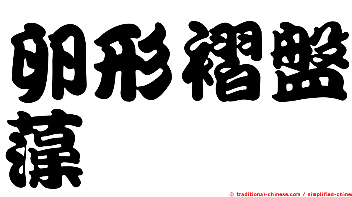 卵形褶盤藻