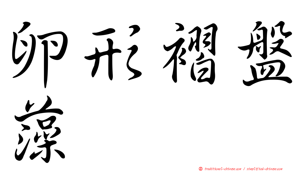 卵形褶盤藻