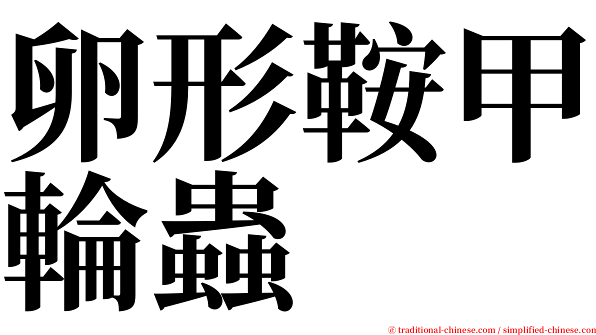 卵形鞍甲輪蟲 serif font
