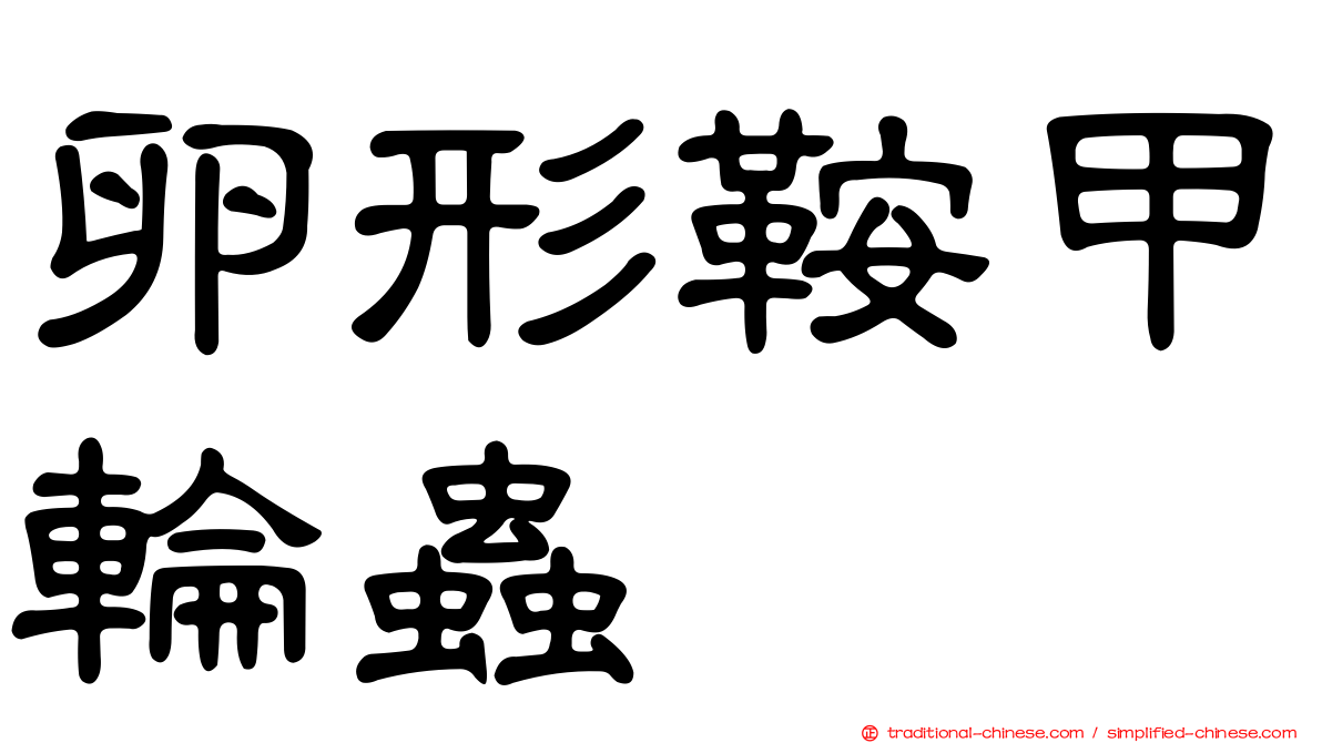 卵形鞍甲輪蟲