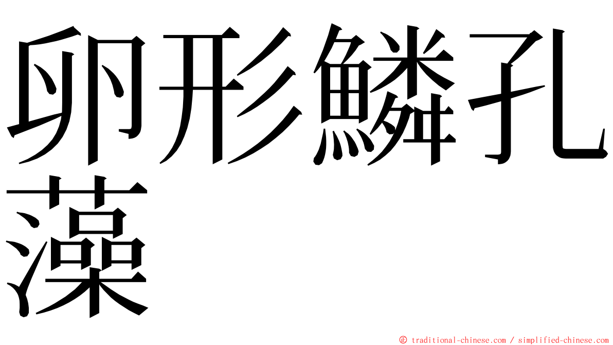卵形鱗孔藻 ming font