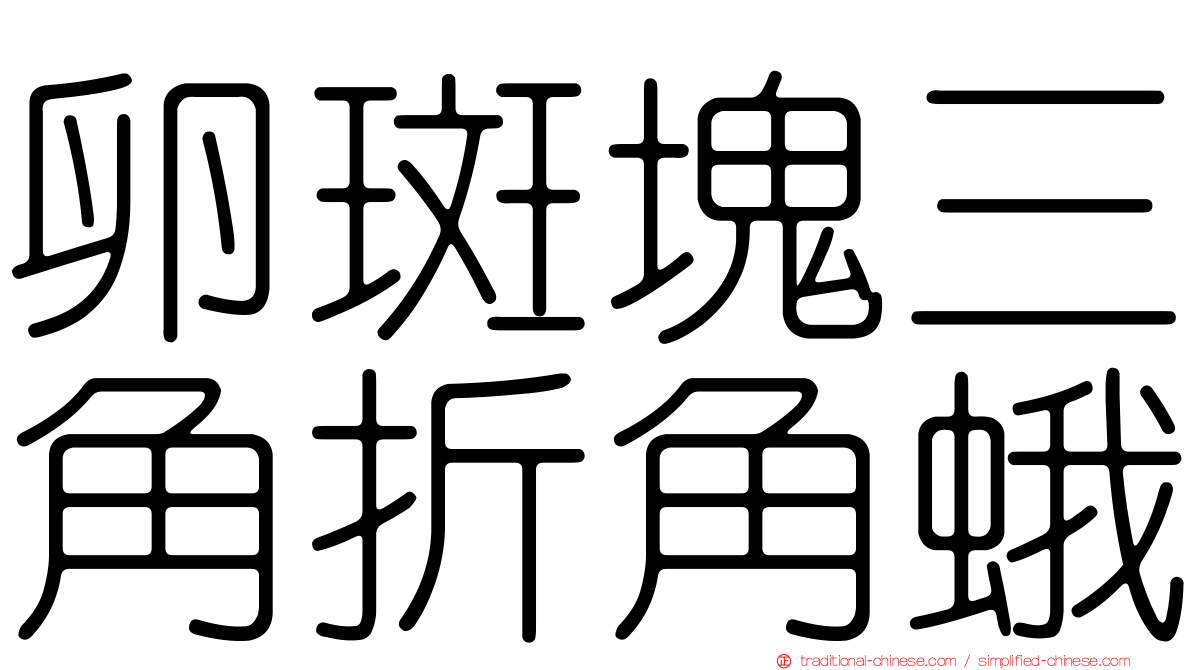 卵斑塊三角折角蛾