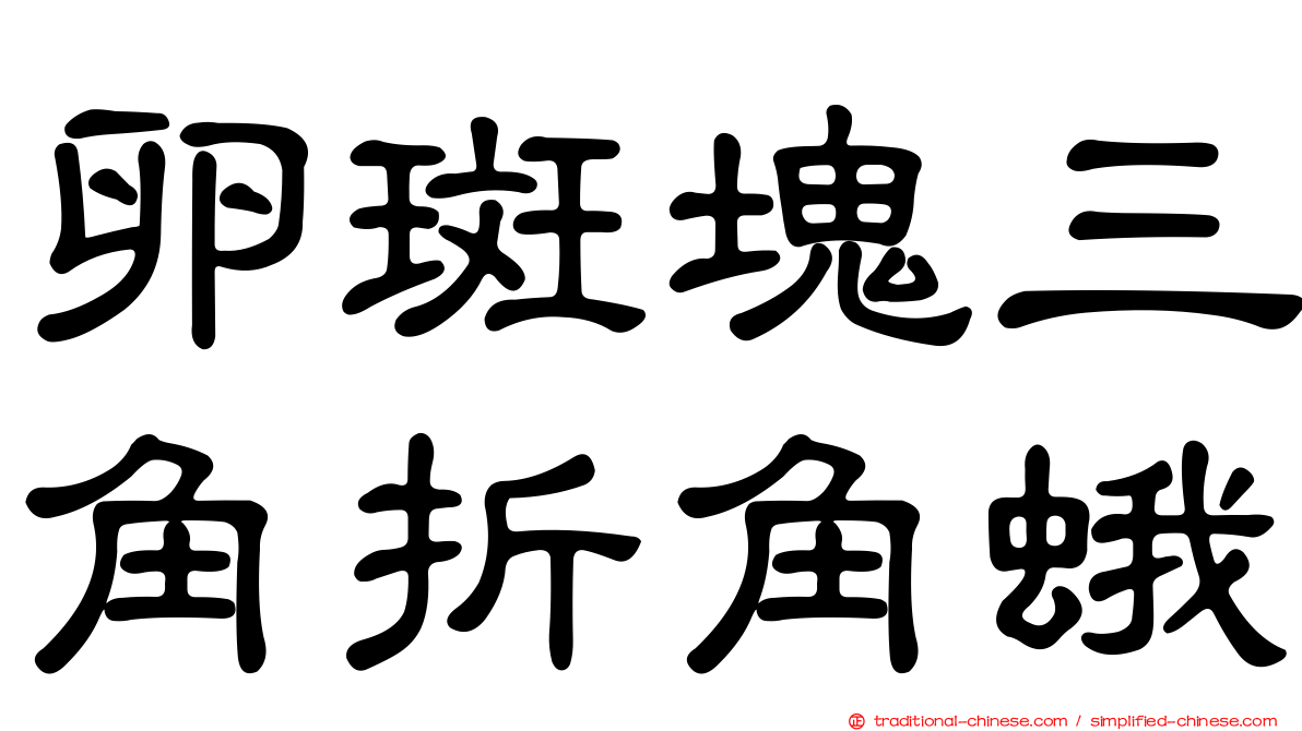 卵斑塊三角折角蛾