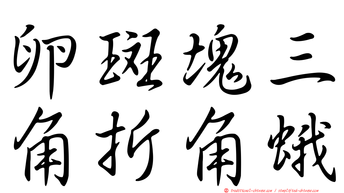 卵斑塊三角折角蛾