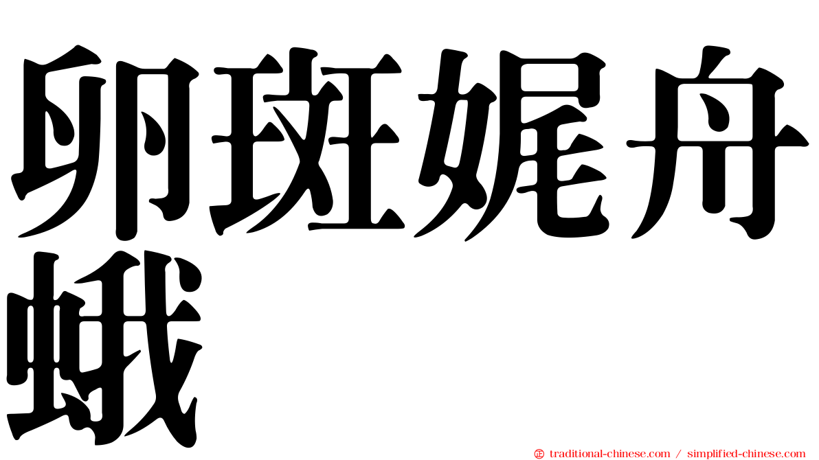 卵斑娓舟蛾