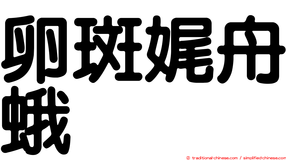 卵斑娓舟蛾