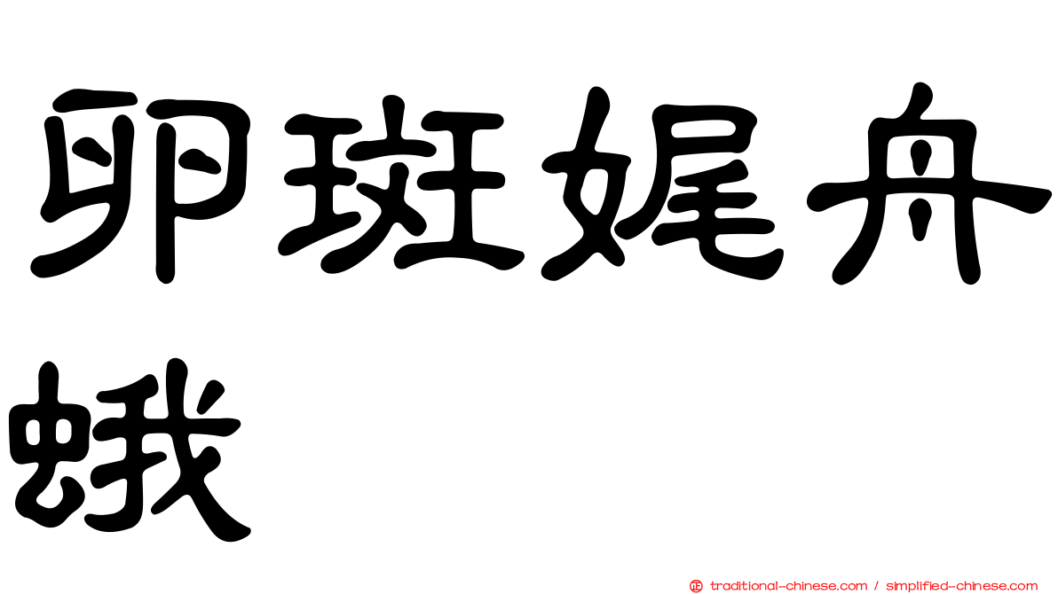 卵斑娓舟蛾