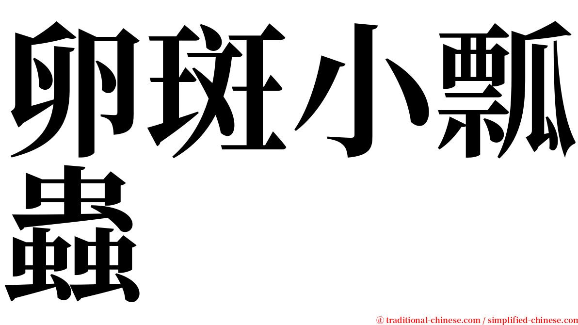 卵斑小瓢蟲 serif font