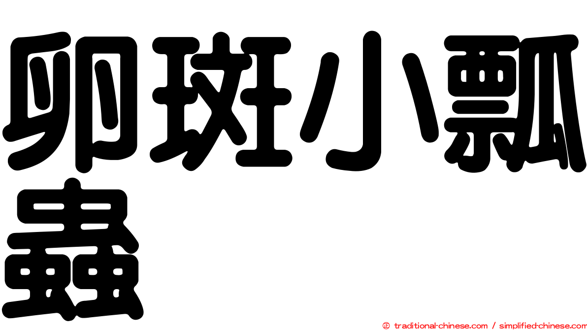 卵斑小瓢蟲