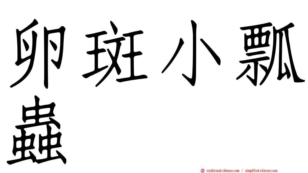 卵斑小瓢蟲